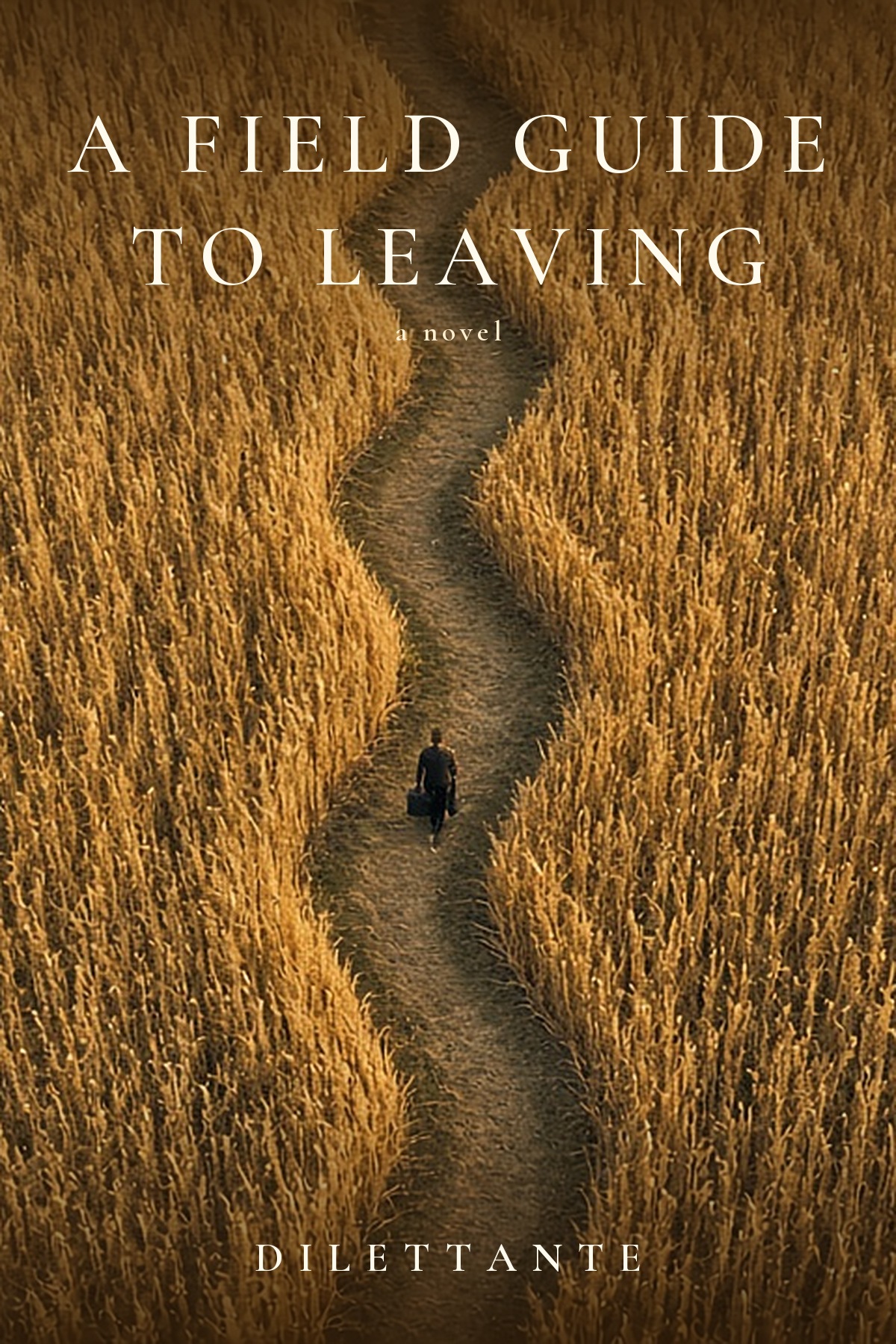 Cover for A Field Guide to Leaving