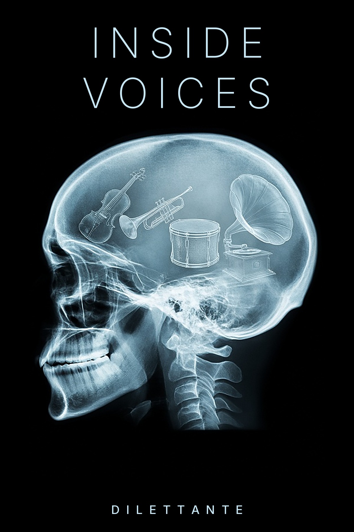 Cover for Inside Voices